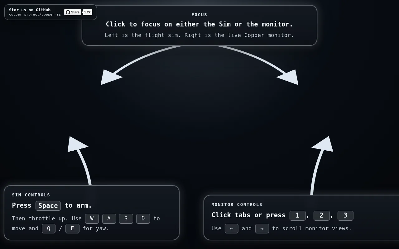 Robotics runtime in the browser (flight controller, WebAssembly)