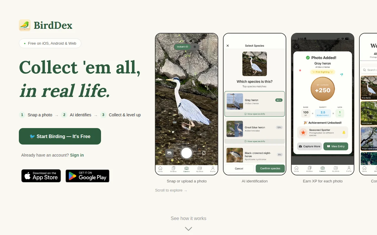 BirdDex – Pokémon Go, but with real life birds