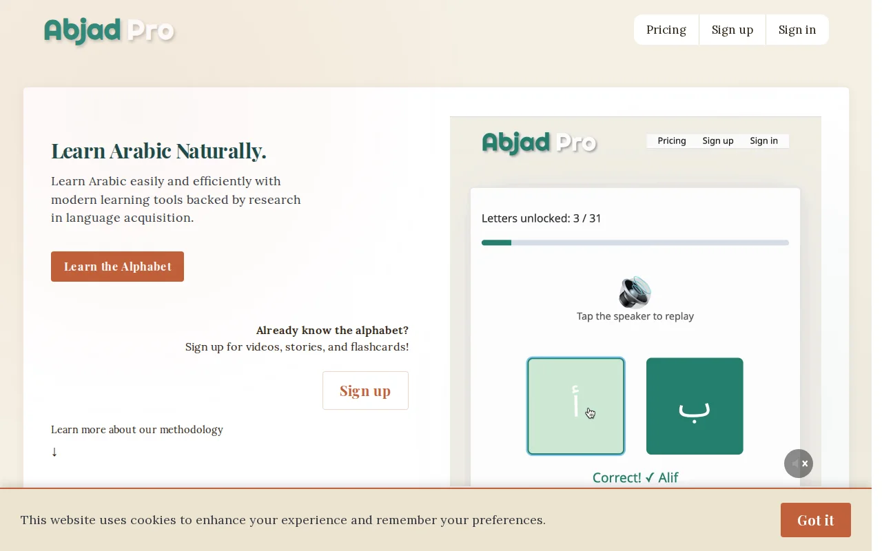 Learn Arabic with spaced repetition and comprehensible input