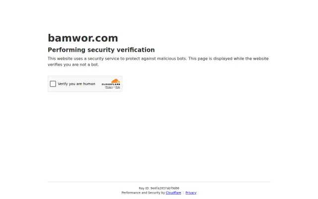 Bamwor – Country data API and MCP server after CIA Factbook shutdown