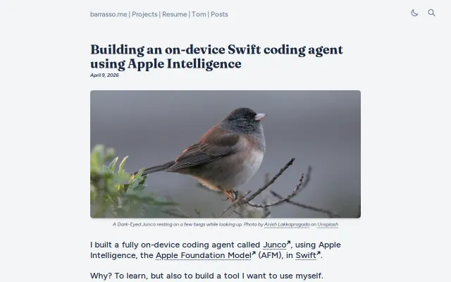 I built a local coding agent using Apple Intelligence