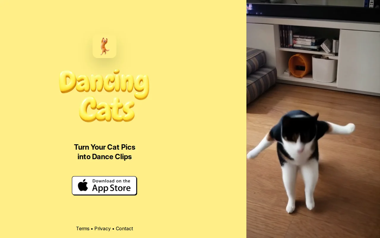 Turn your cat pic into a dancing cat video
