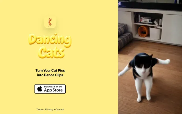 Turn your cat pic into a dancing cat video