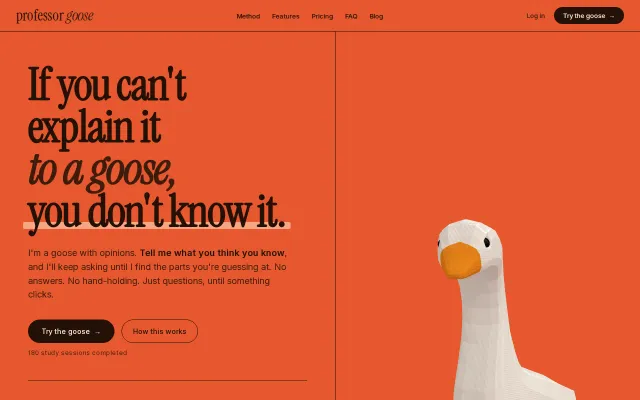 I solved my study problems by talking to a goose