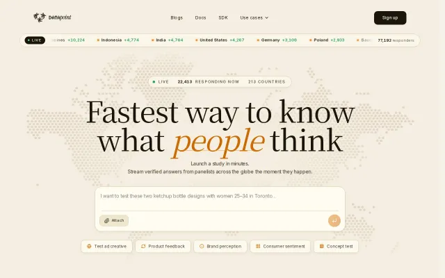 Datapoint AI – Make Something People Want, but Ask Them First