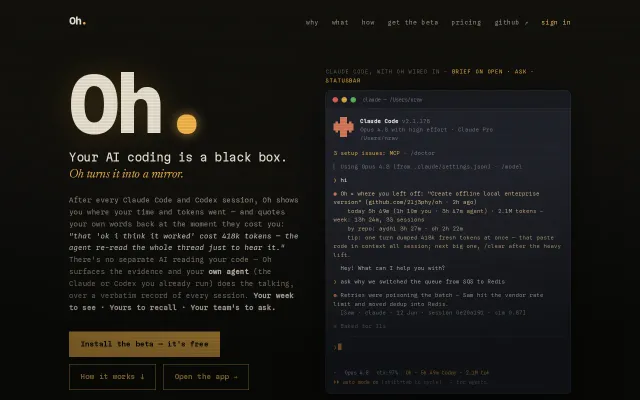 Oh – verbatim memory and insights of all your past vibecoding sessions